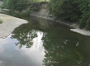 Lake Erie tributary, Elk Creek, famous for steelhead fishing